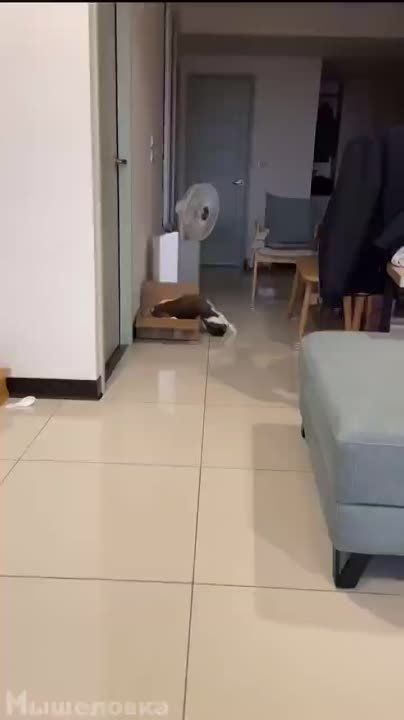 ������� ���� , ������� ������������!