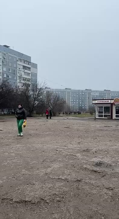 � ��� ���������, ������� ���� ��� ���������� ������