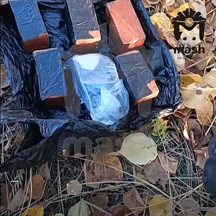 �������� ��������� ����������-����������� �� ����������