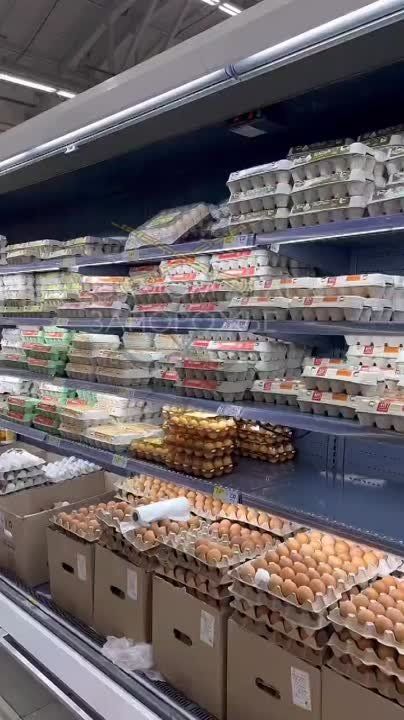 �� ����� ���������� ���� �������