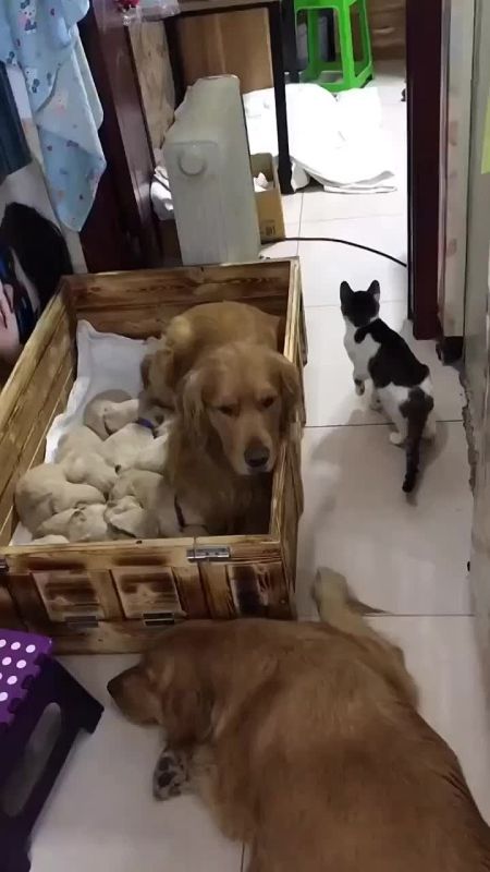 ������ ���� ������� ������������!