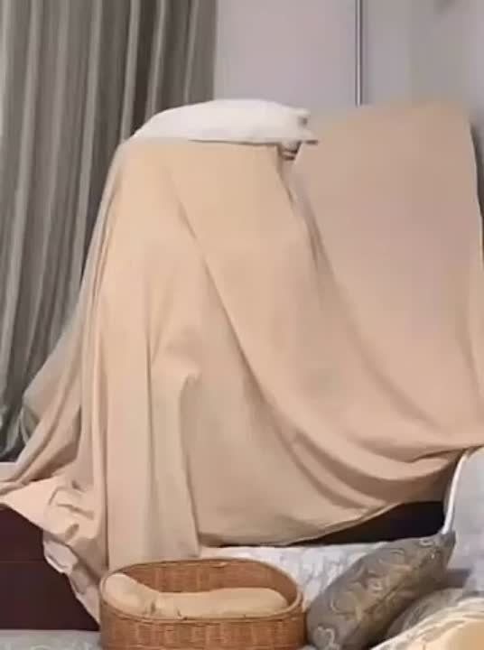 ������ ���� ������� ������������!
