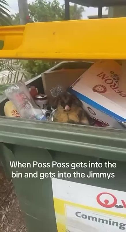 ������� ���� , ������� ������������!