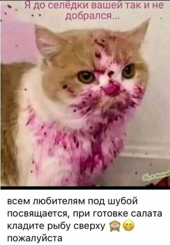 ����� �������������������
