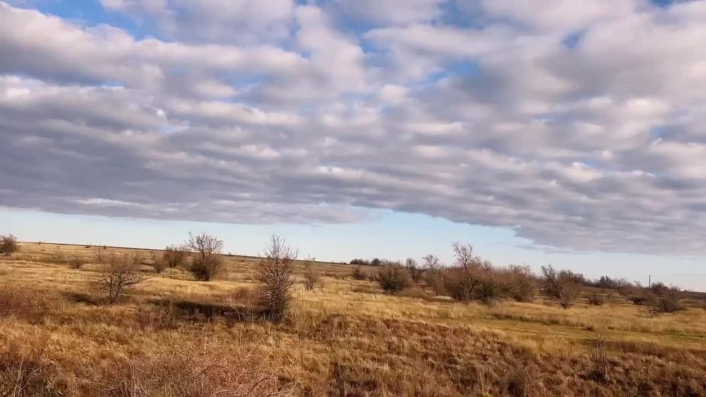 ������ ������: ������� ����, �������������� �����!