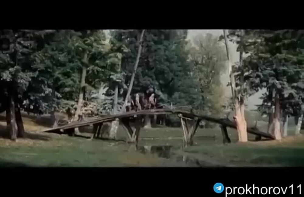 ������ ���� ������� ������������!