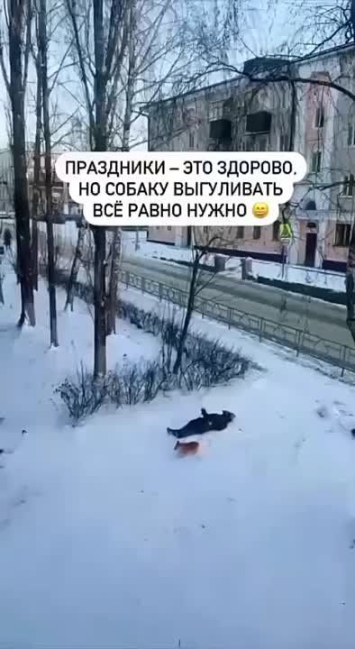 ��� ������ ���� ������ ����!