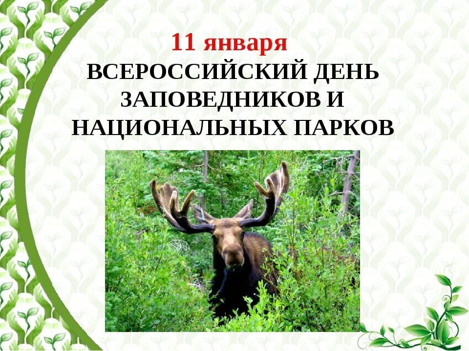 11 ������ - ������������� ���� ������������ � ������������ ������ � �������� ��������� ������!