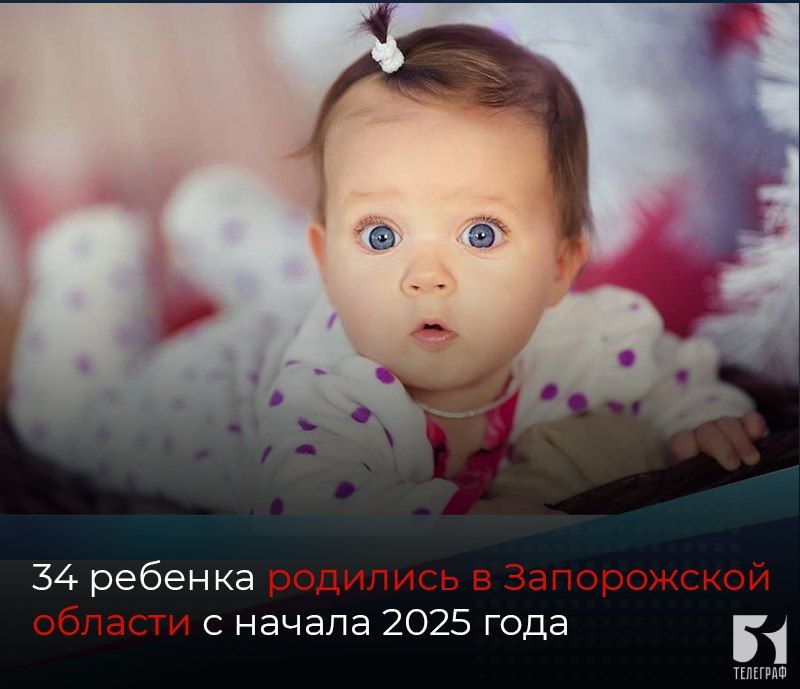 34 ������� �������� � ����������� ������� � ������ 2025 ����