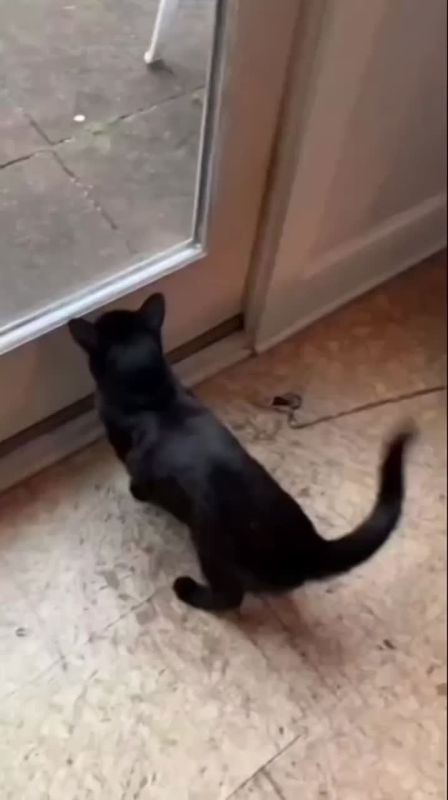 ������� ���� , ������� ������������!