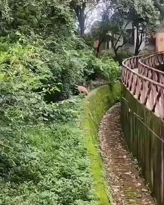 ������� ���� , ������� ������������!