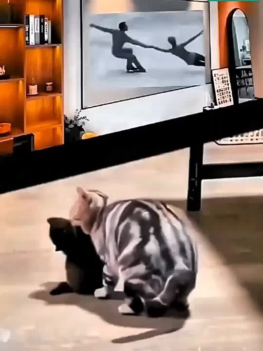 ������� ���� , ������� ������������!