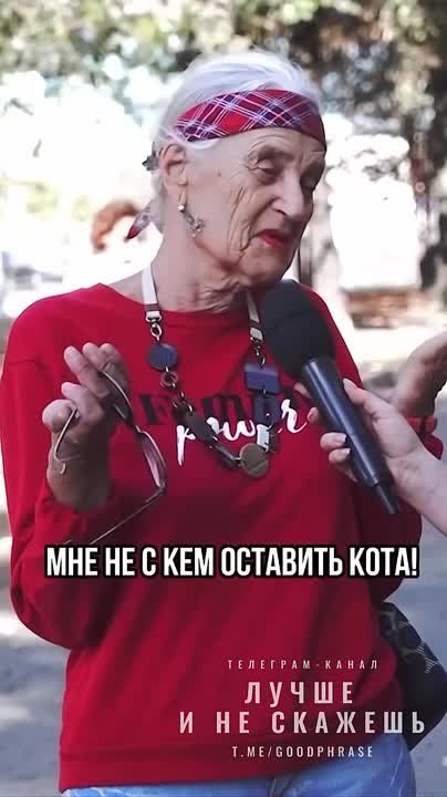 ������ ���������� �� 84-������ �������: ���� ������ �� � ��� �������� ����