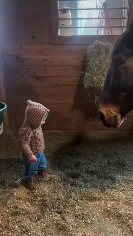������� ���� , ������� ������������!
