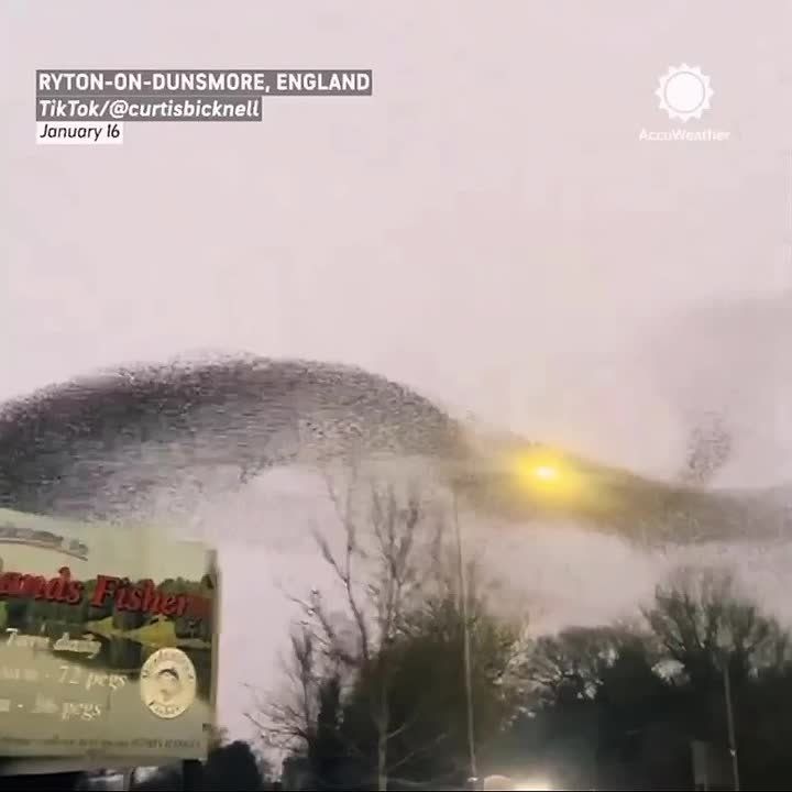 ������ ������ �����: � ������ �������� ���� �������� �������� �� �����������