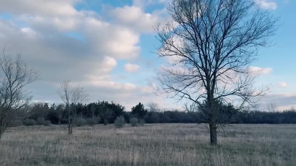 ������ ������: ������� ���� �� ������ ����������� ��������������� ������!