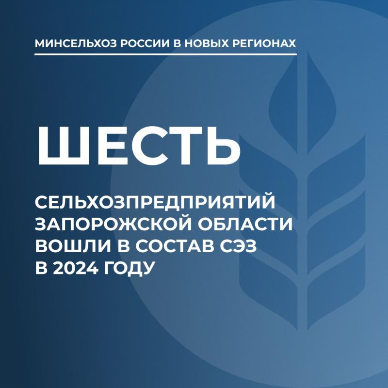 � 2024 ���� � ��� ����� ����� ������������������ ����������� �������