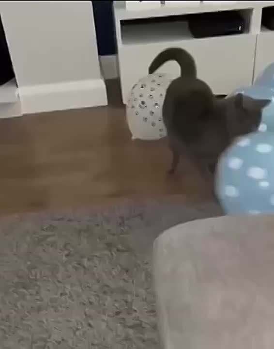 ������� ���� , ������� ������������!