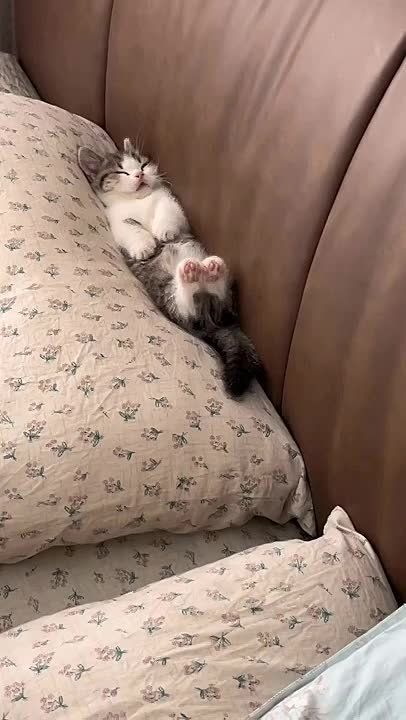 ������� ���� , ������� ������������!