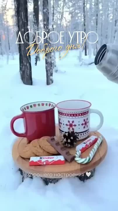 ������ ����, ���� �������� � ������������� ���