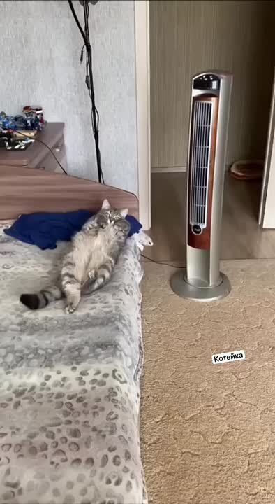 ������� ���� , ������� ������������!