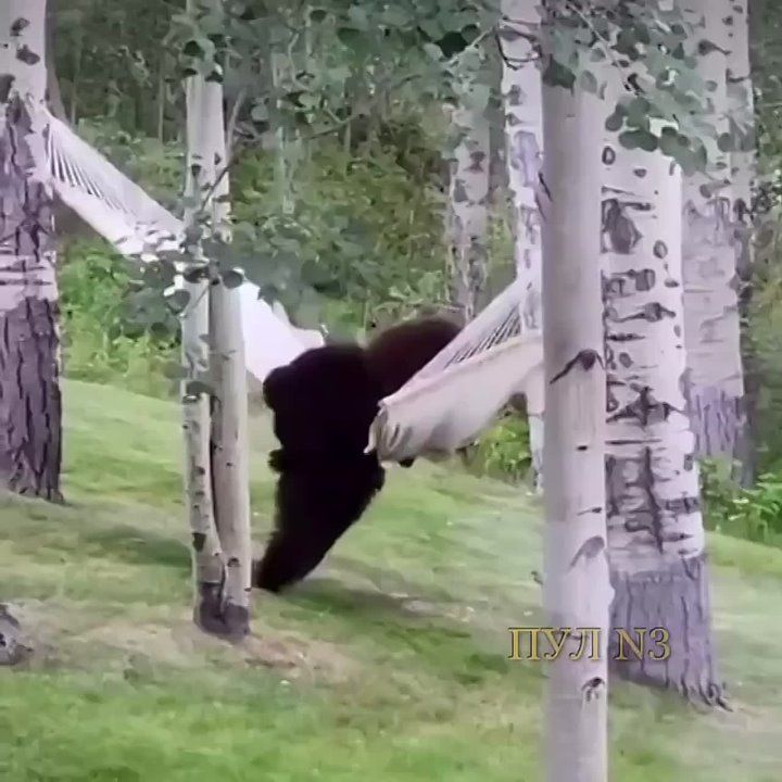   ,  !