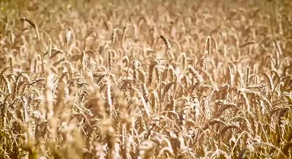 ������ ������: ������� ����������� �� ������� ��� � ��������� ����� ���� �� ���� ����� ����� � ����