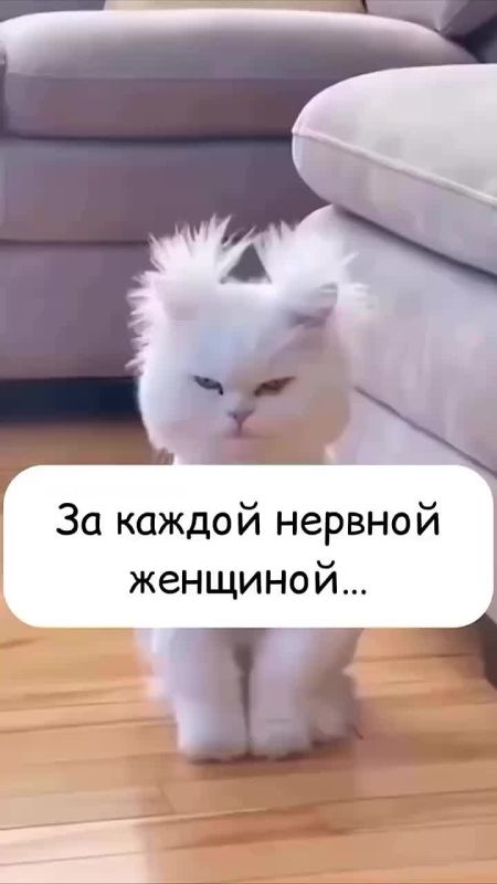 �� ������ ������� �������� ����� �������