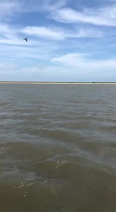 ,  ,    ,    