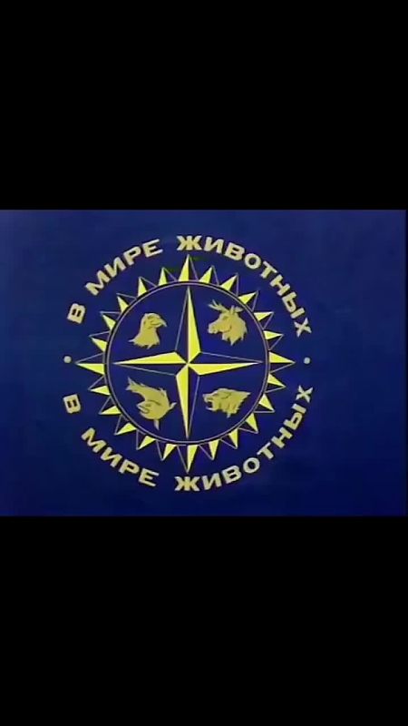 ������ ���� ������� ������������!