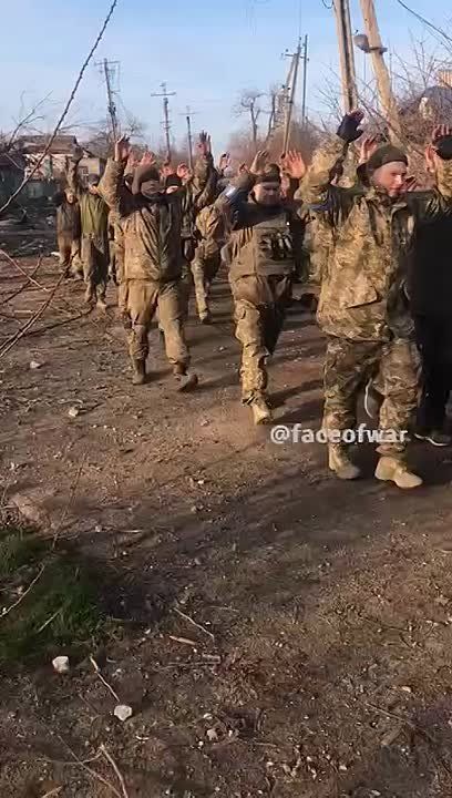 �������� ������� ������� � ���� �� �� �� ������� �����������