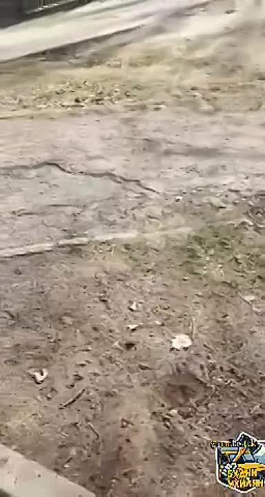 ���������. ����������� ������� �����������