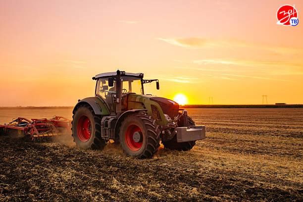 ������ ������ ���������� ���� �������� �� 2025 ���