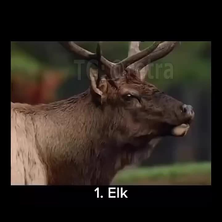 ��������, ������� ������ �� ���, ��� �� ���� ������������
