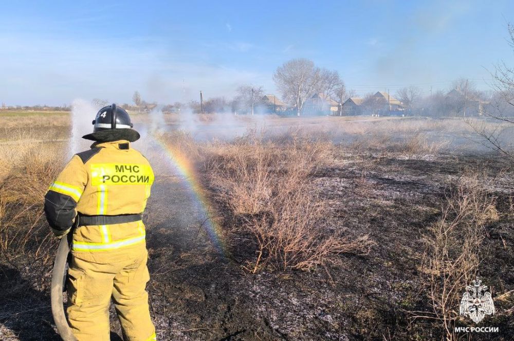 С начала марта 2025 года огонь уничтожил более 45 гектаров территории Запорожской области