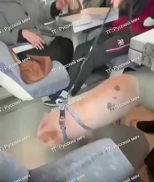 ������� ����������� ����� �������� �������� ������ � �������� ������ �� ������������� �� ������� ������ �� ������ � � ������������ ����������