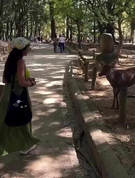  ,  !