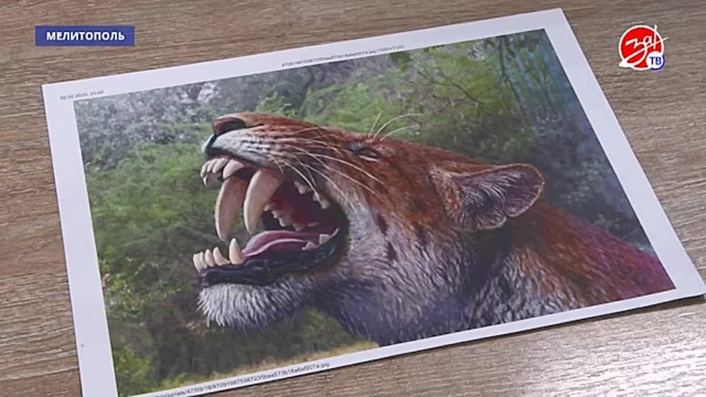 Чат-бот Губернатора: быстрая помощь для тех, кто в ней нуждается