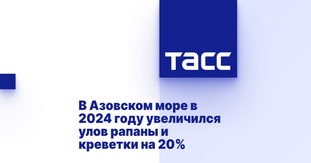     2024        20%