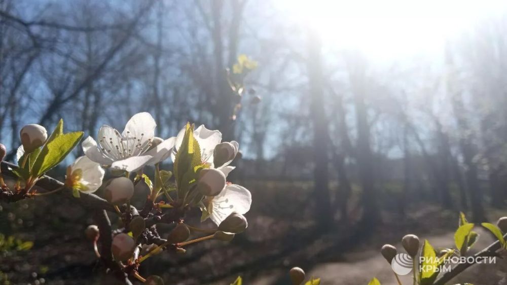 Погода на новых территориях России