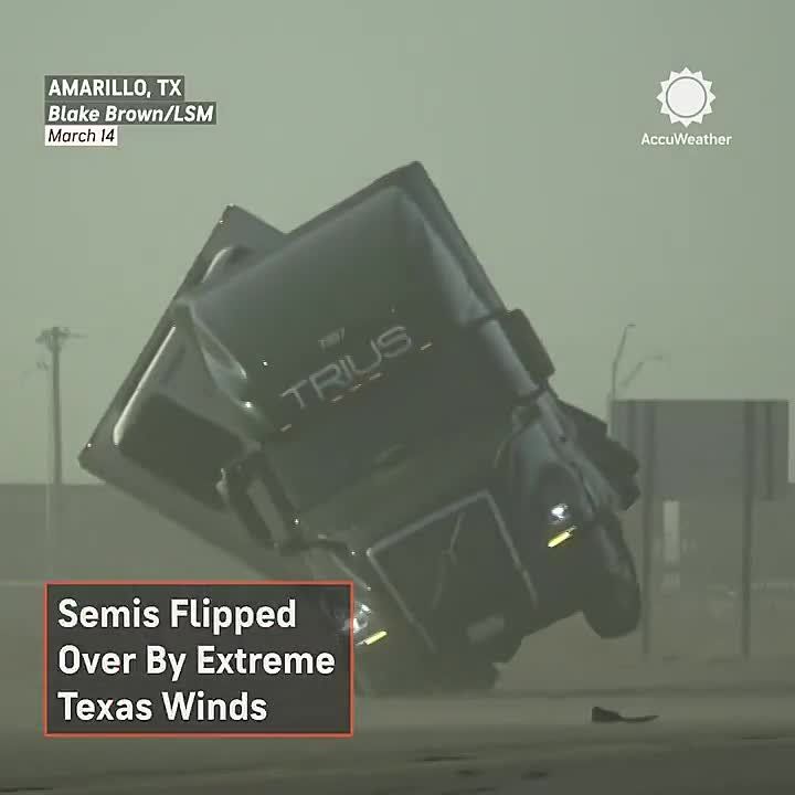 ����� ������ �������� ����, ����� ������� ����� � ������ �������������� ����������� �� ����� 40 � ��������