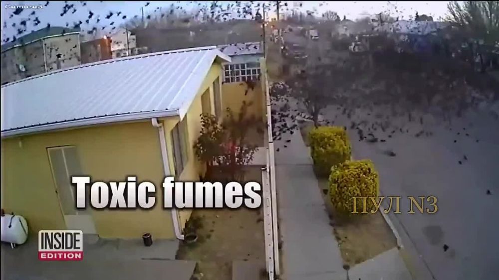         :