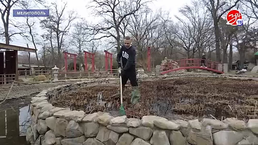 ����������� ���� ���������� ������������� ����� ������������ ������� ������