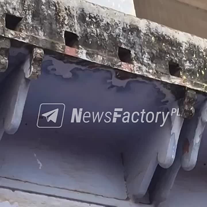 В индийском городе Вриндаван укравшая смартфон обезьяна вернула его в обмен на манговый сок