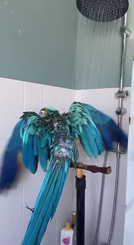 ������� ���� , ������� ������������!