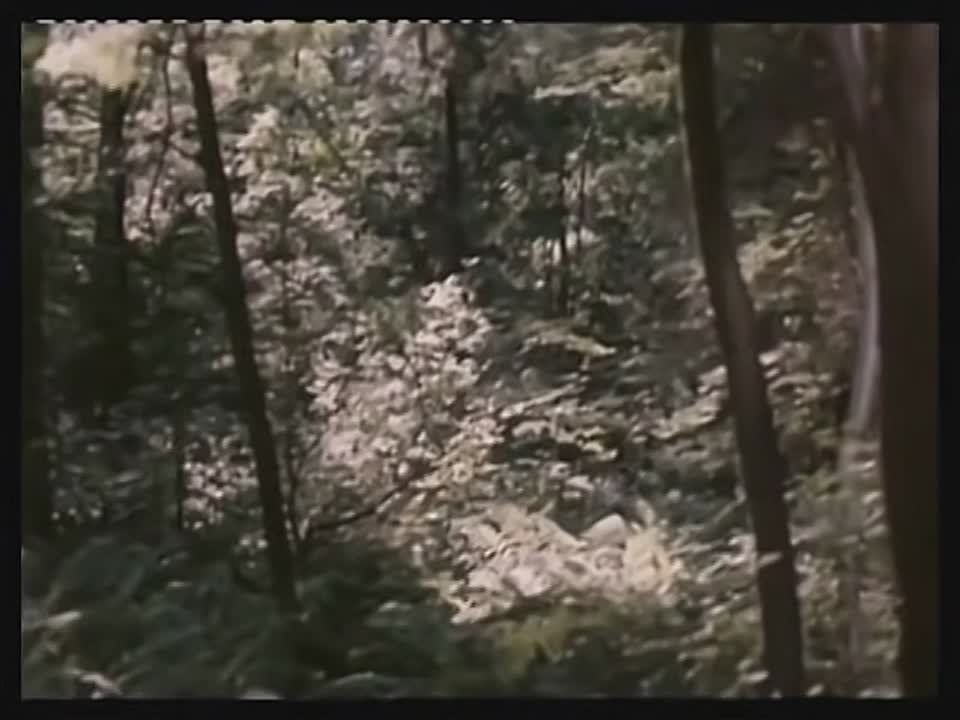    !
