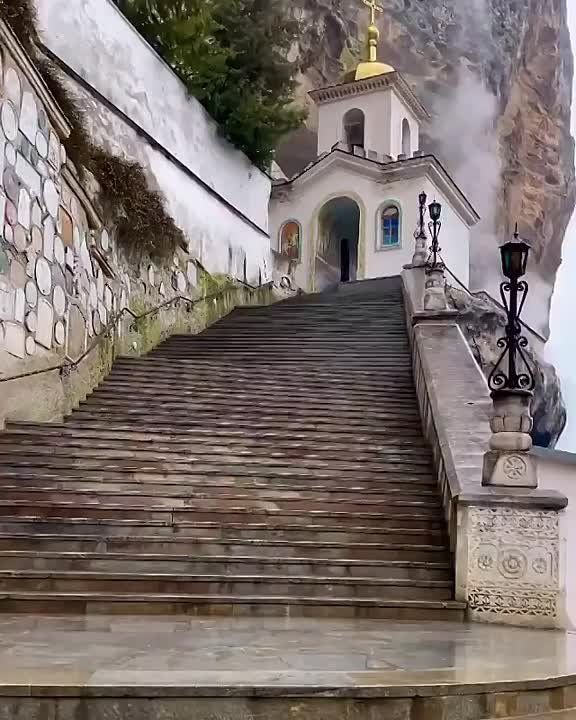 �����-��������� �������� ���������, ����