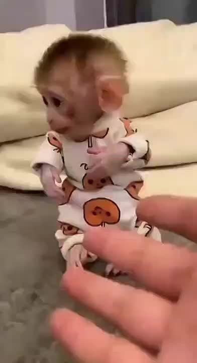   ,  !