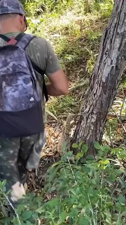 ������� ���� , ������� ������������!