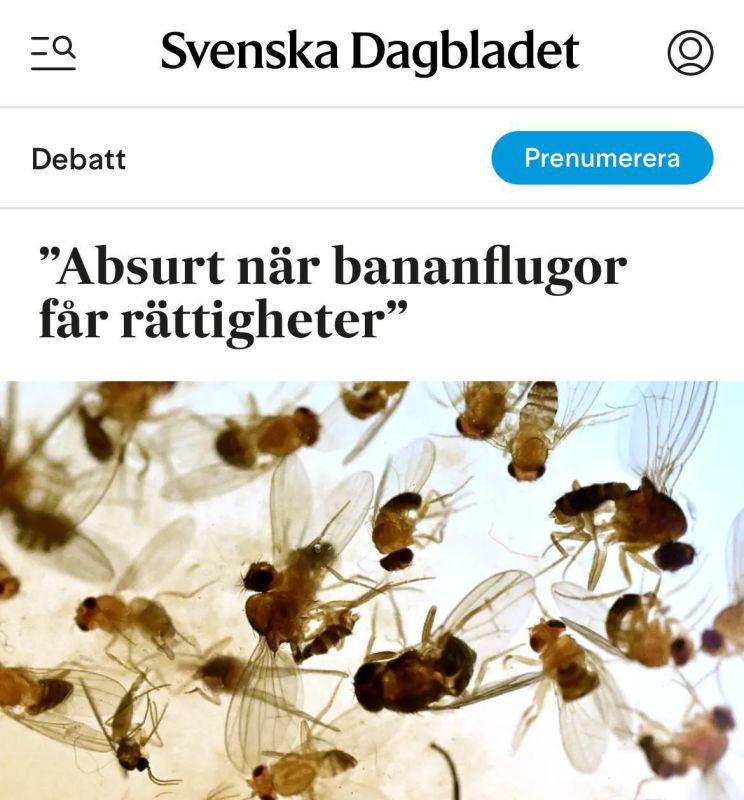�������, ���� ���� ������� �����: � ������ ������ ���������� ��������� �������� �� ����� ��������, �� ������� ������ ����� ������� ��� - ������ ��� ����� ������ ������������, ��� ���������, ��������, ��������